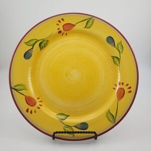 Pfaltzgraff Everyday Hand Painted Palermo 10.75" Dinner Plate Discontinued